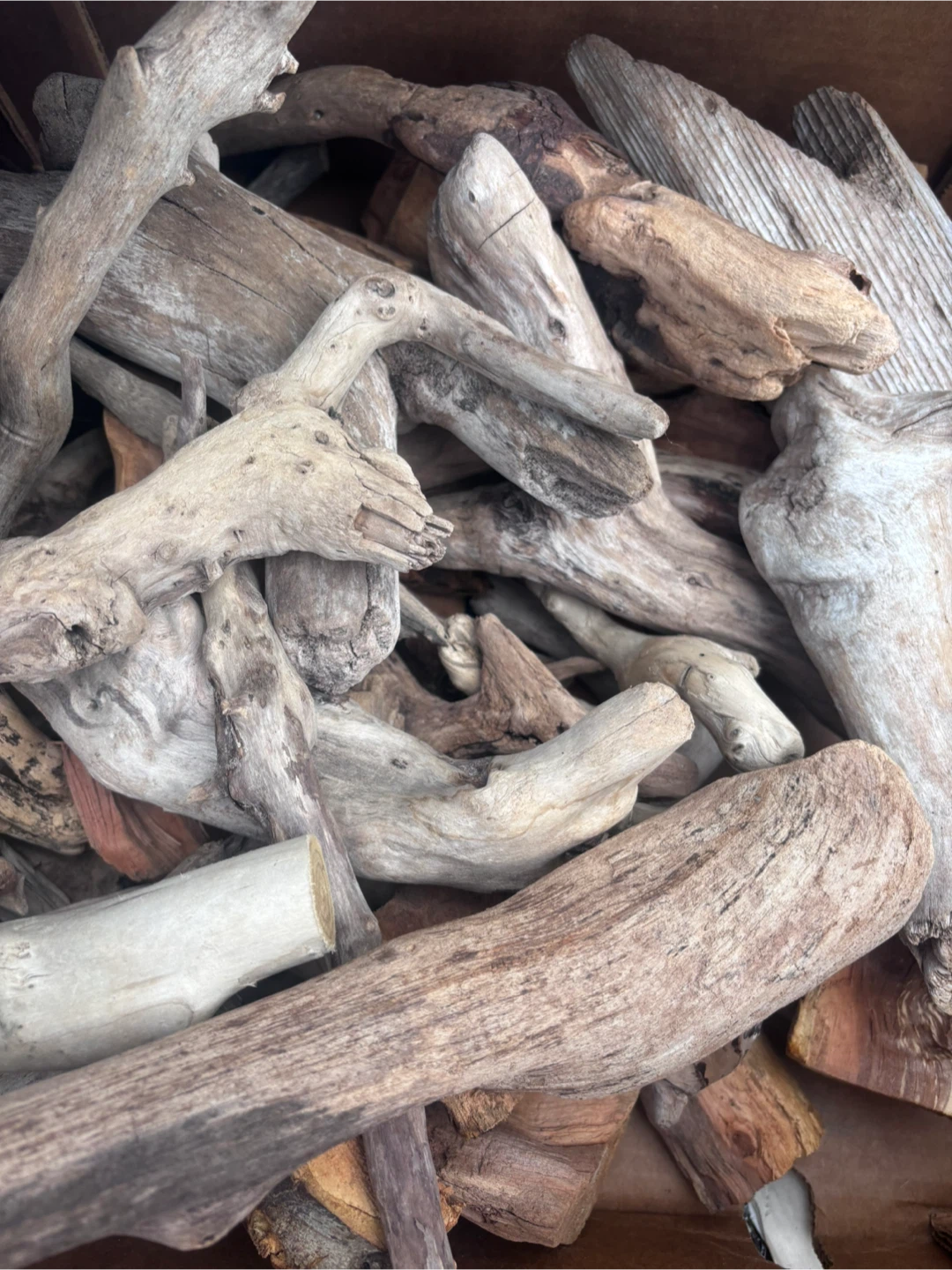 Assorted Natural Driftwood Pieces - photo 2