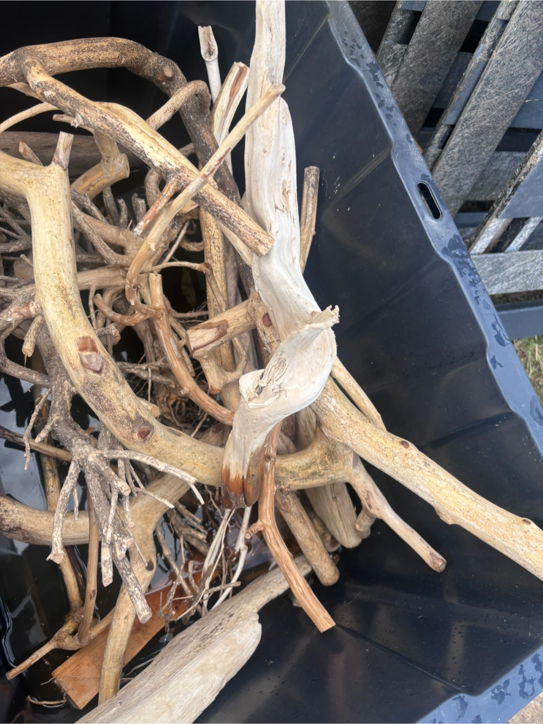 Assorted Natural Driftwood Pieces - photo 3