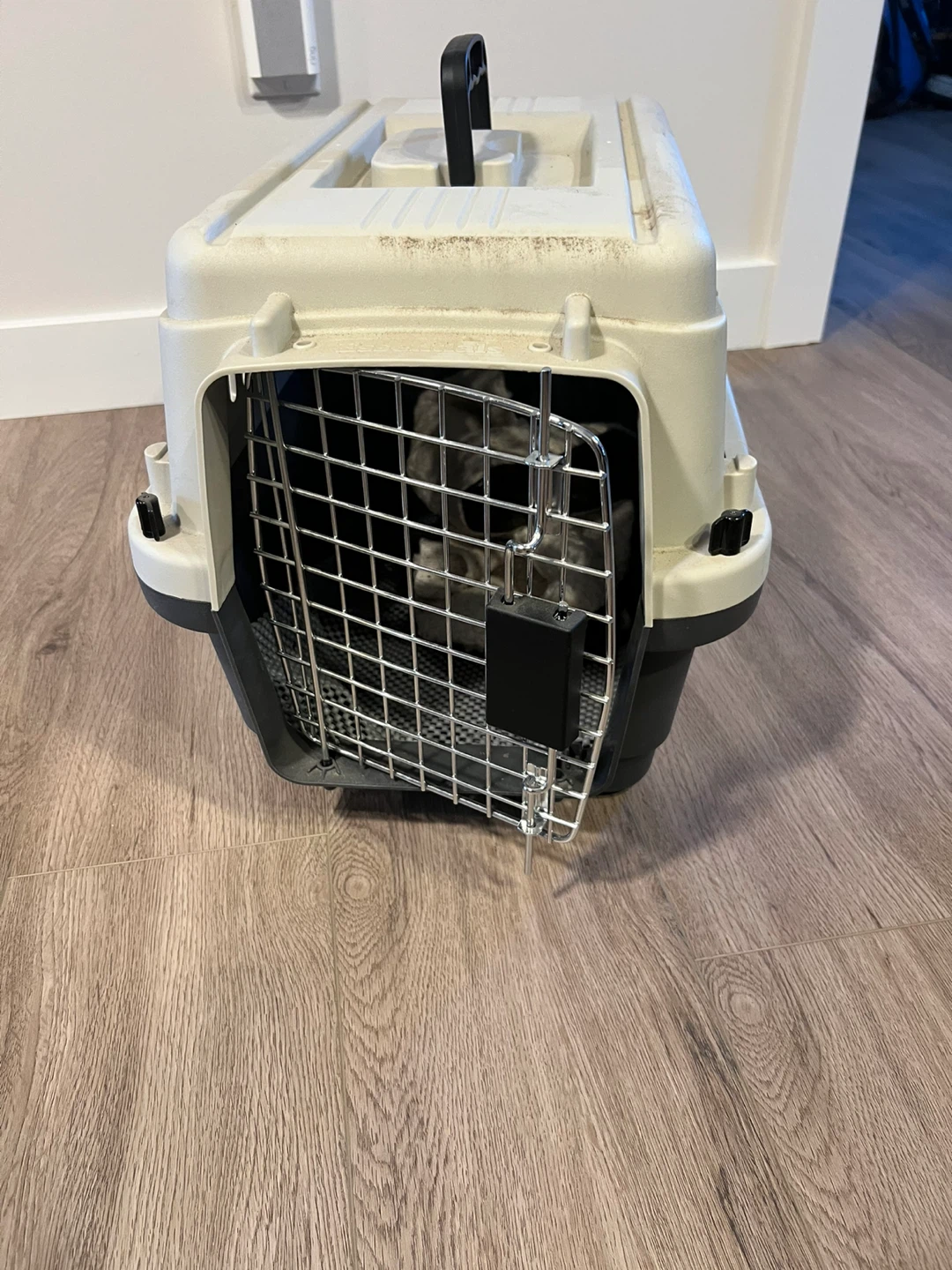 PET CARRIER