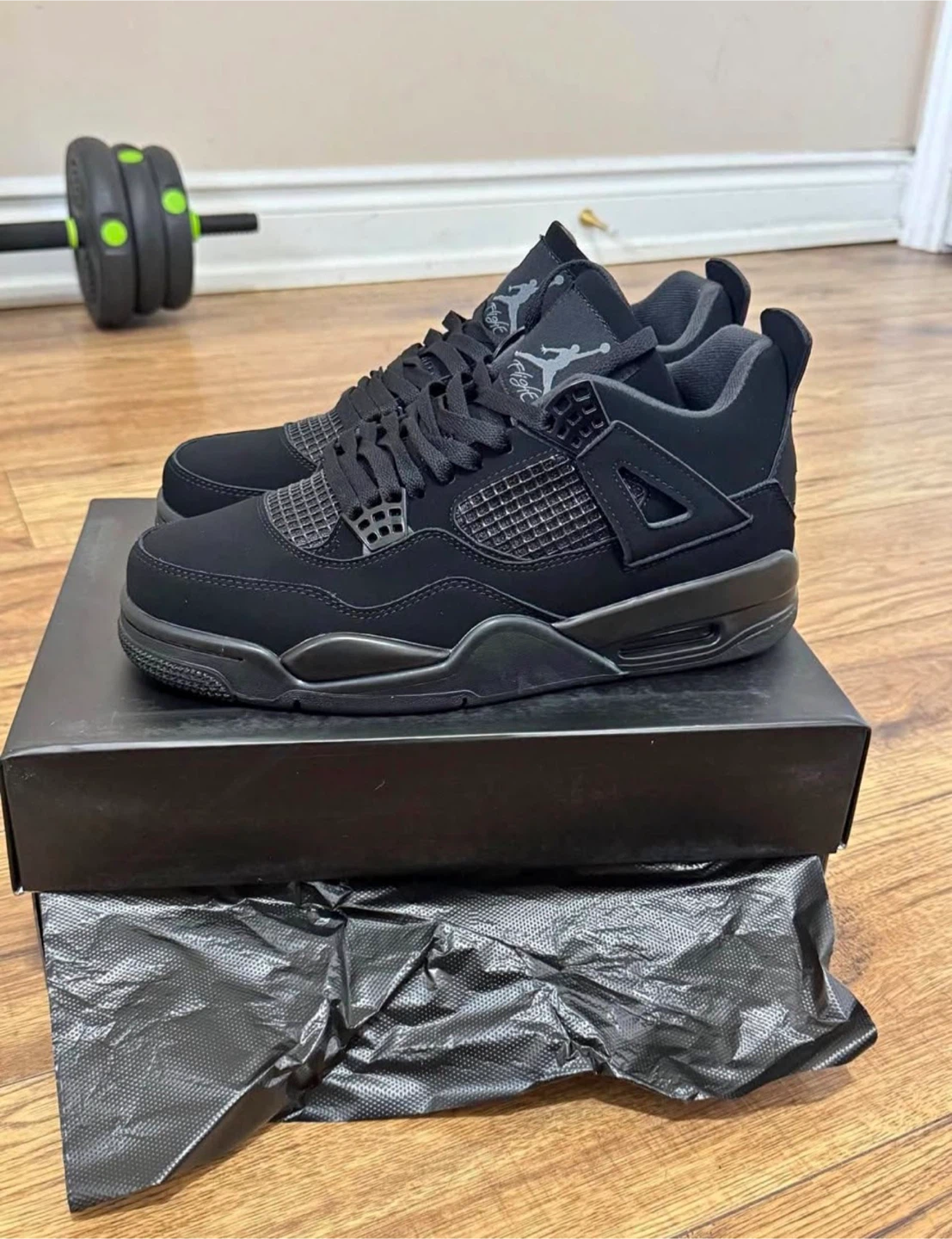 Air Jordan 4 Black Cat
