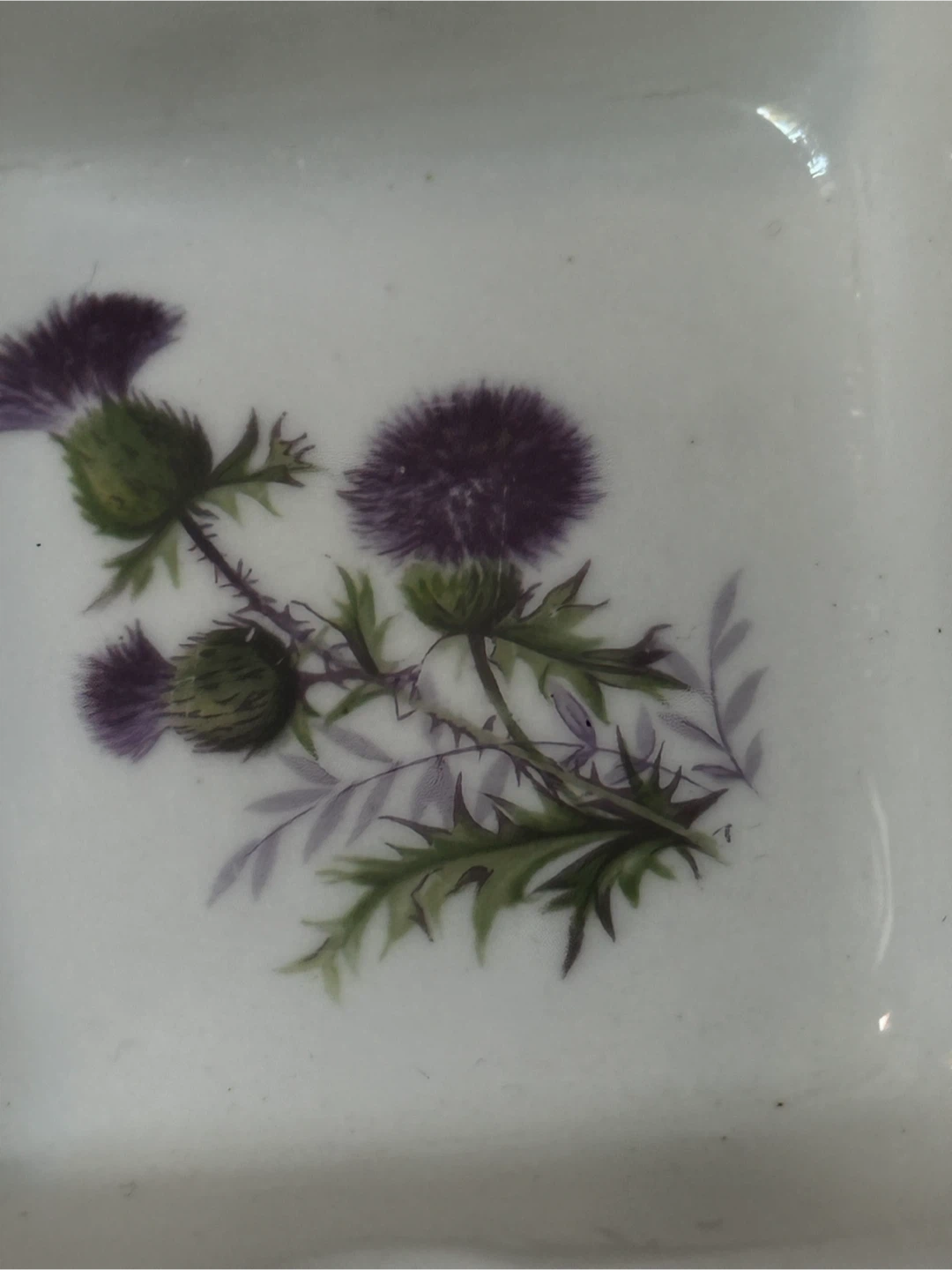 Luckenbooth Bone Chine Scottish Thistle Ashtray - photo 2