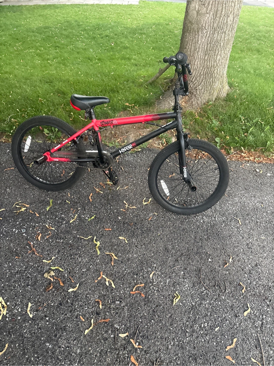 Hyper Spinner BMX Bike
