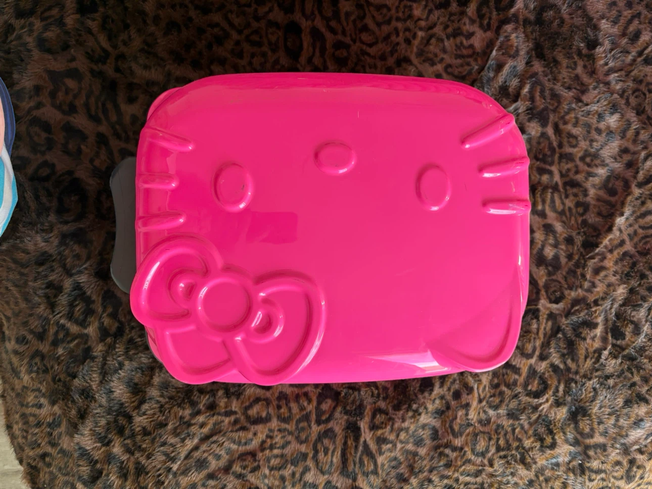 Hello Kitty Pink Carry-On Luggage