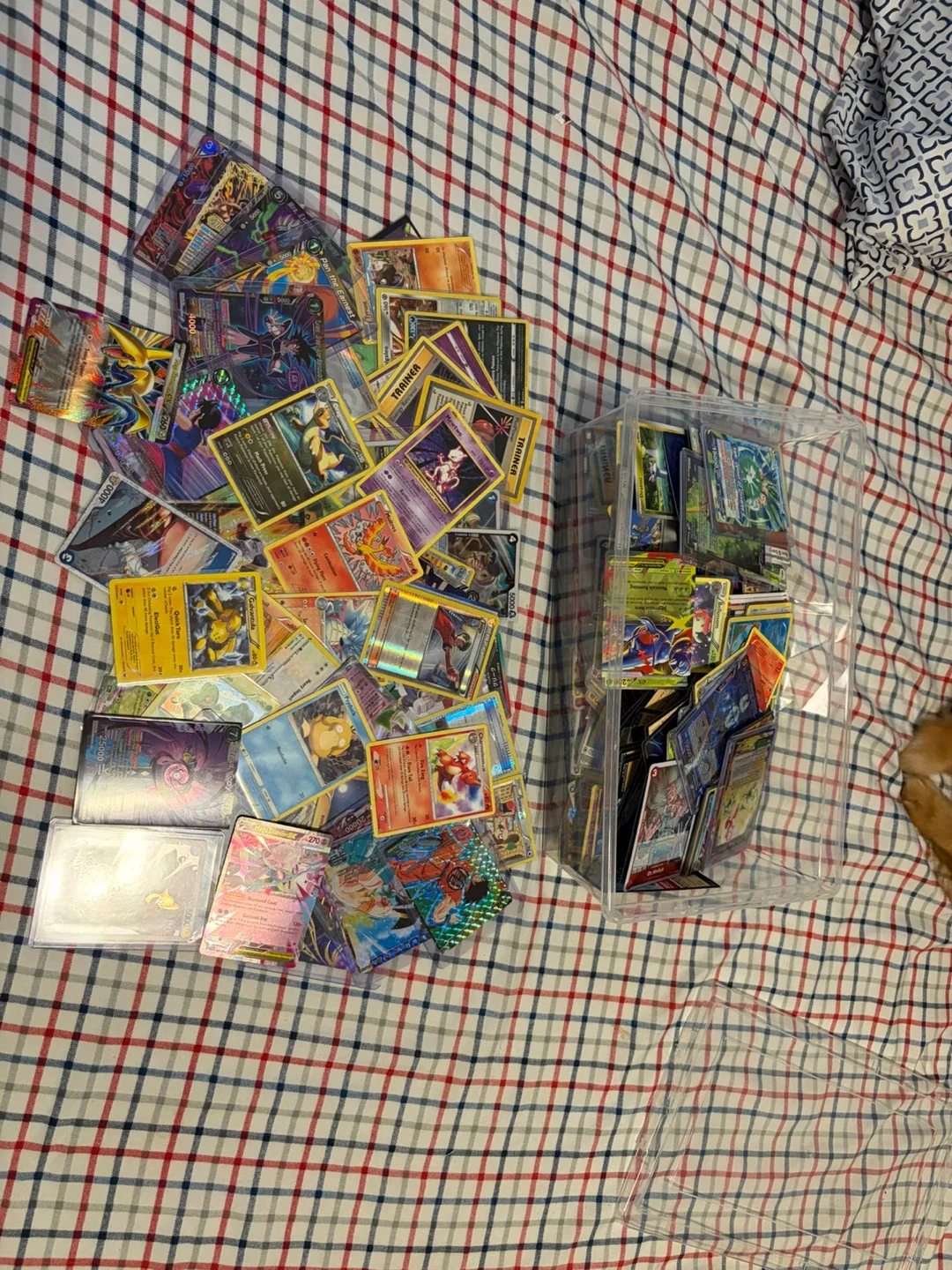 Assorted Trading Card Collection in Storage Bin