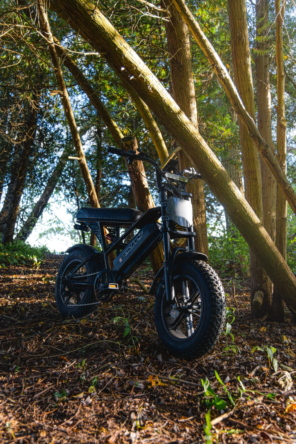 Modded Eskute v100 Ebike - photo 2