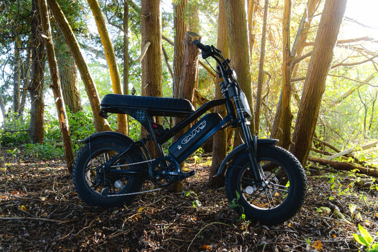 Modded Eskute v100 Ebike - photo 4