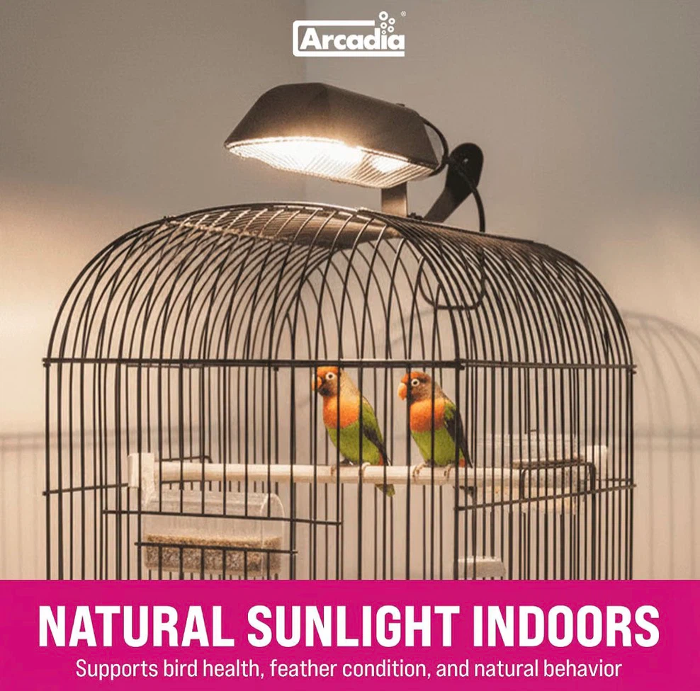 New Arcadia Puresun Compact Bird Lighting Kit - photo 2