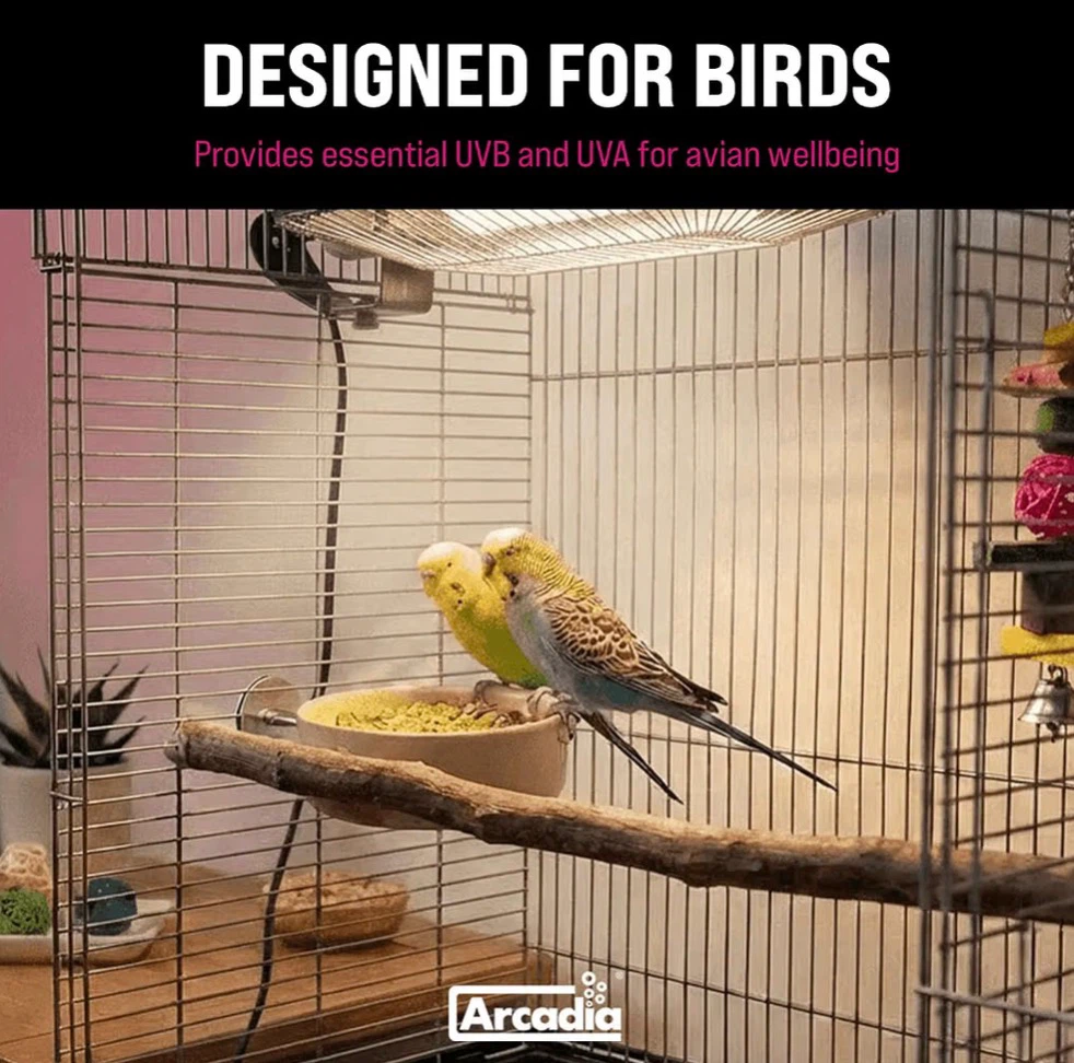New Arcadia Puresun Compact Bird Lighting Kit - photo 3