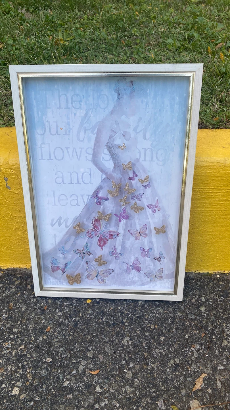 Decorative Butterfly Wall Art Frame