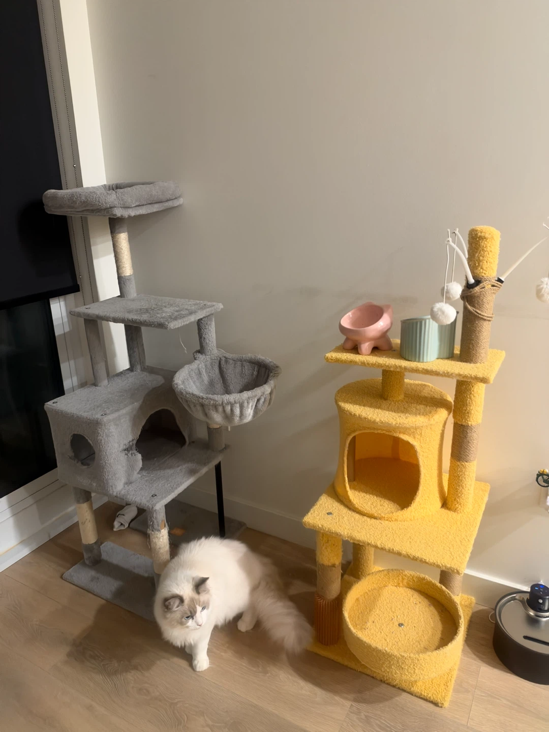 BOTH cat towers