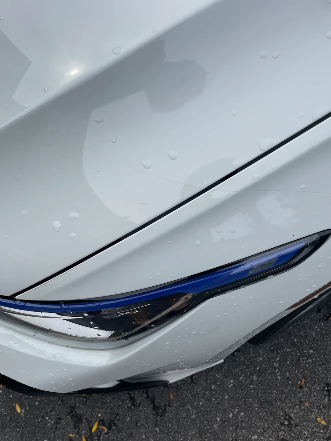 Volkswagen Golf R White Hatchback 2025 - photo 5