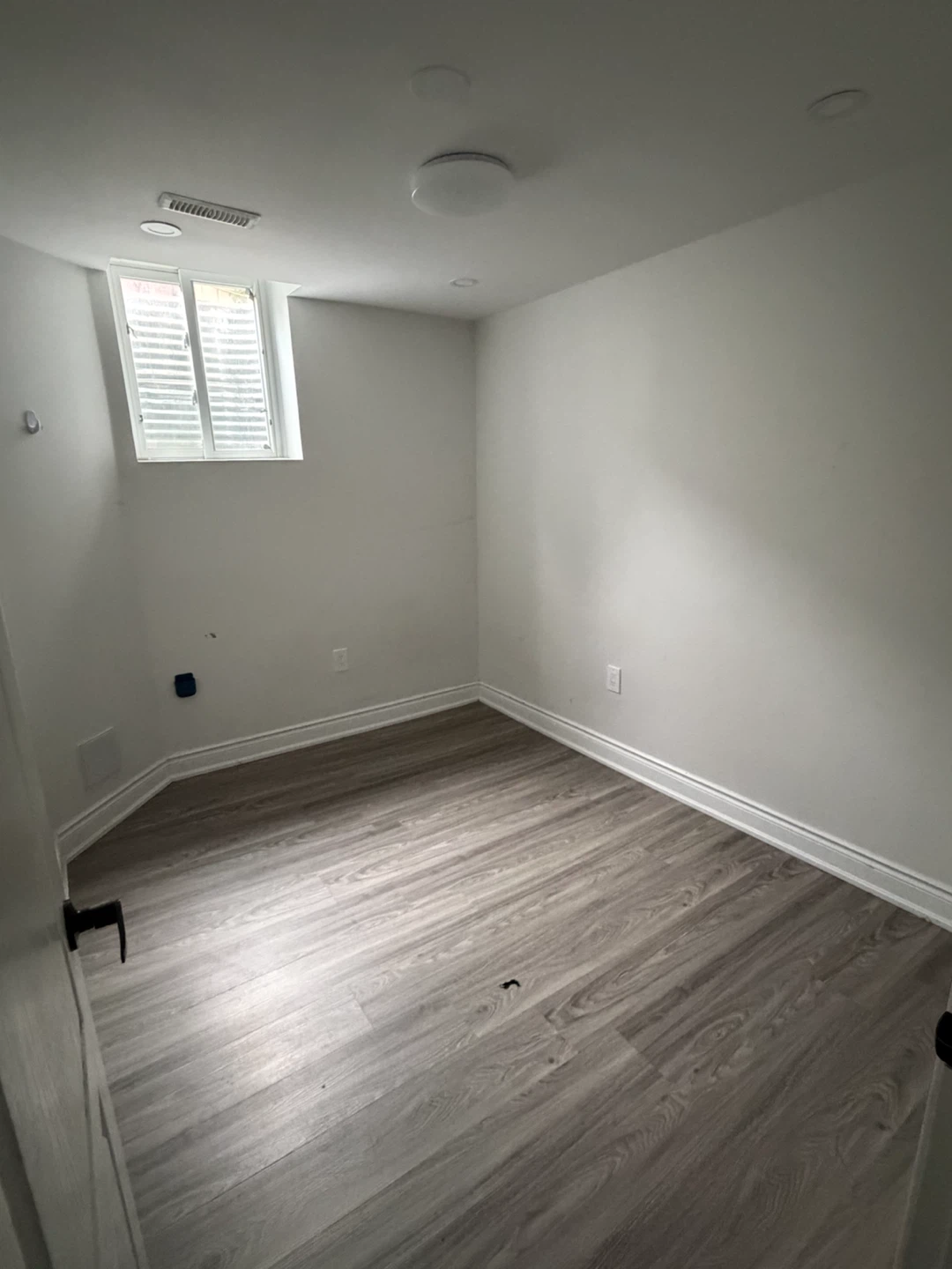 Basement for rent