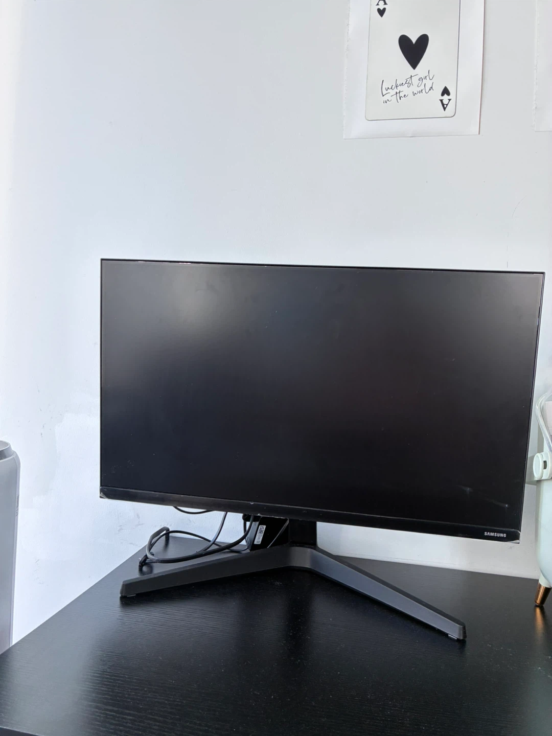 Samsung Computer Monitor