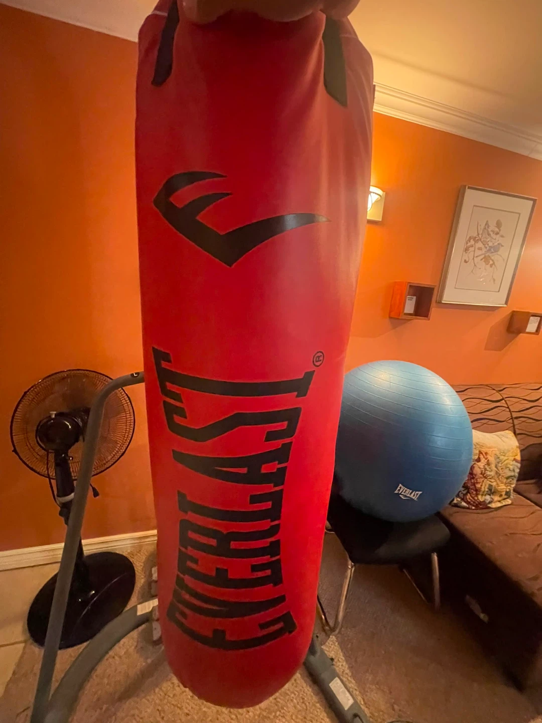 Everlast Punching Bag with Stand