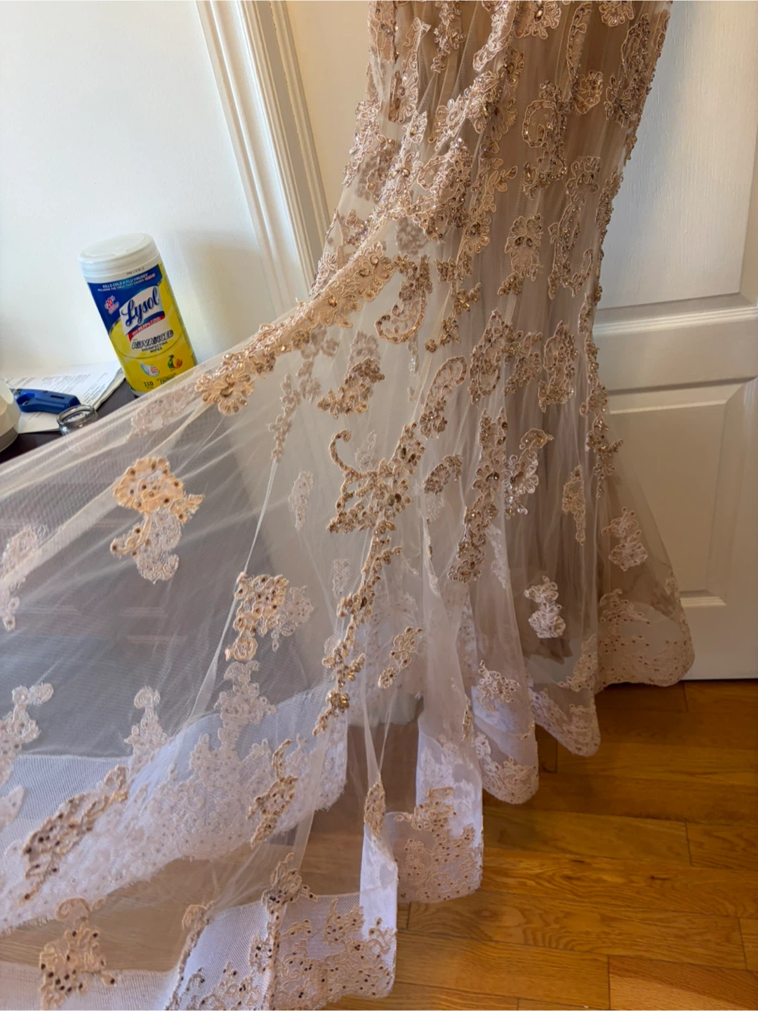 Beaded Lace Evening Gown