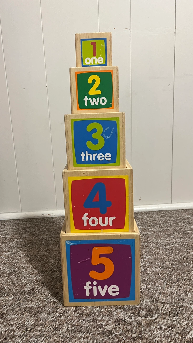 Ryan's Room Wooden Nesting Blocks