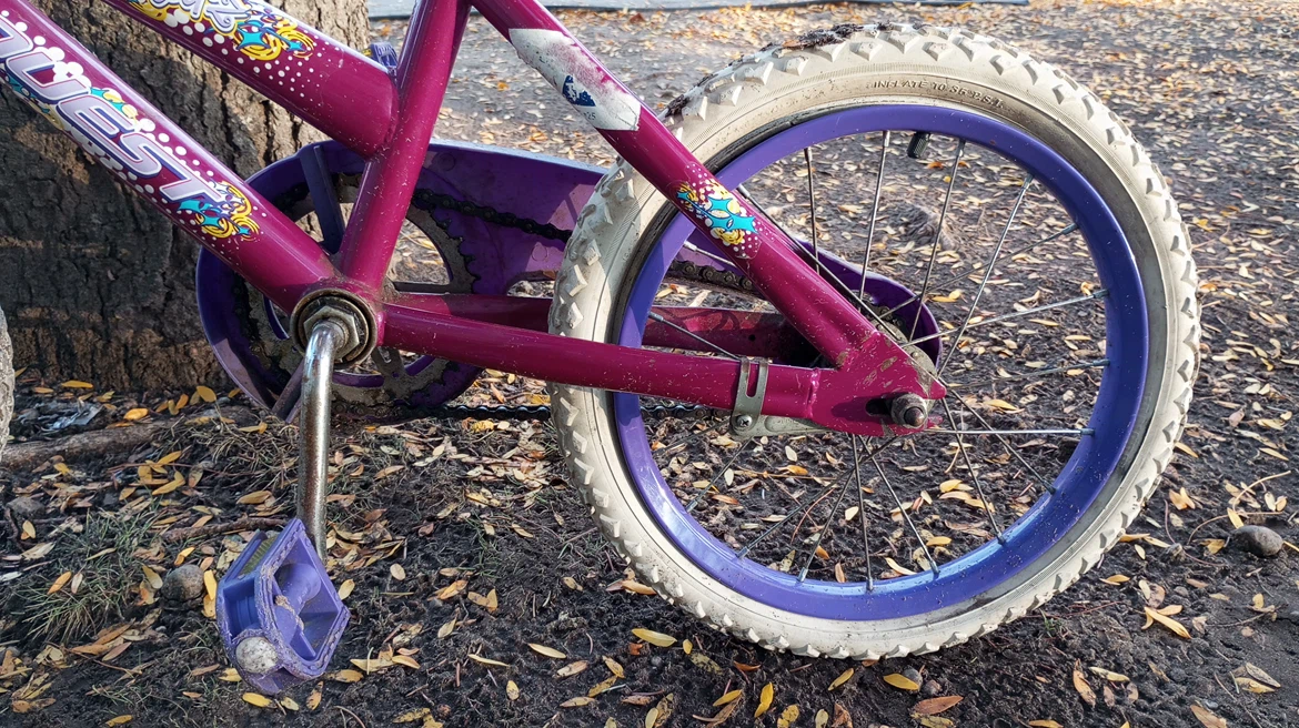 Quest Seastarz Kids Bicycle - photo 2
