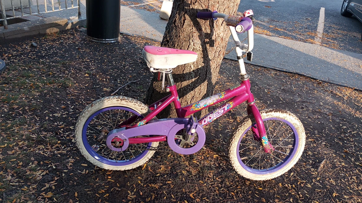 Quest Seastarz Kids Bicycle - photo 3