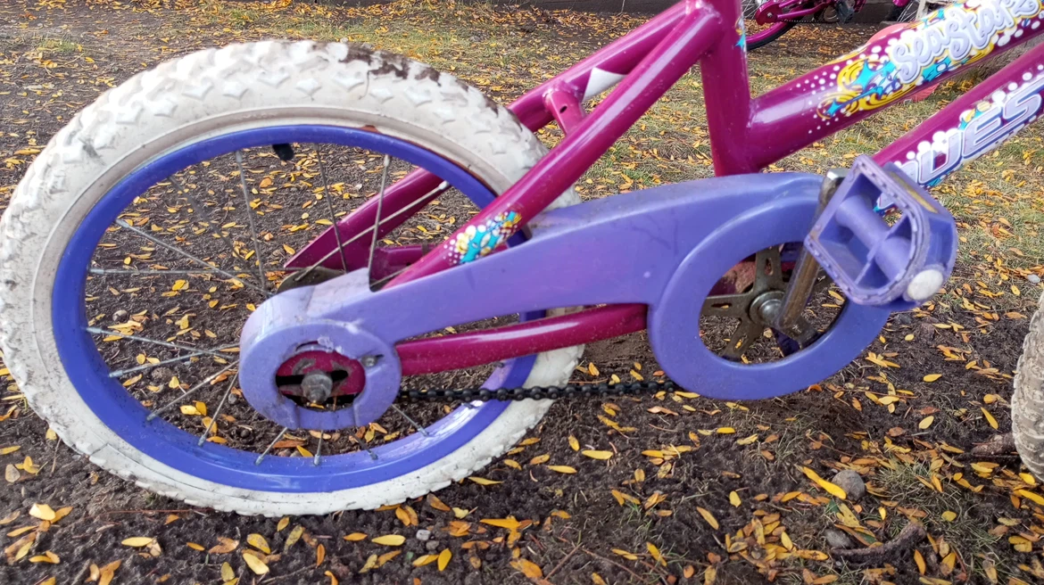 Quest Seastarz Kids Bicycle - photo 4