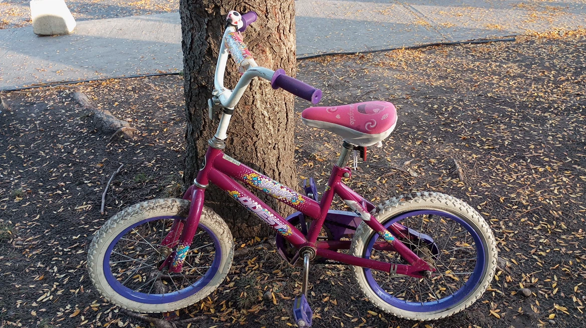 Quest Seastarz Kids Bicycle - photo 5