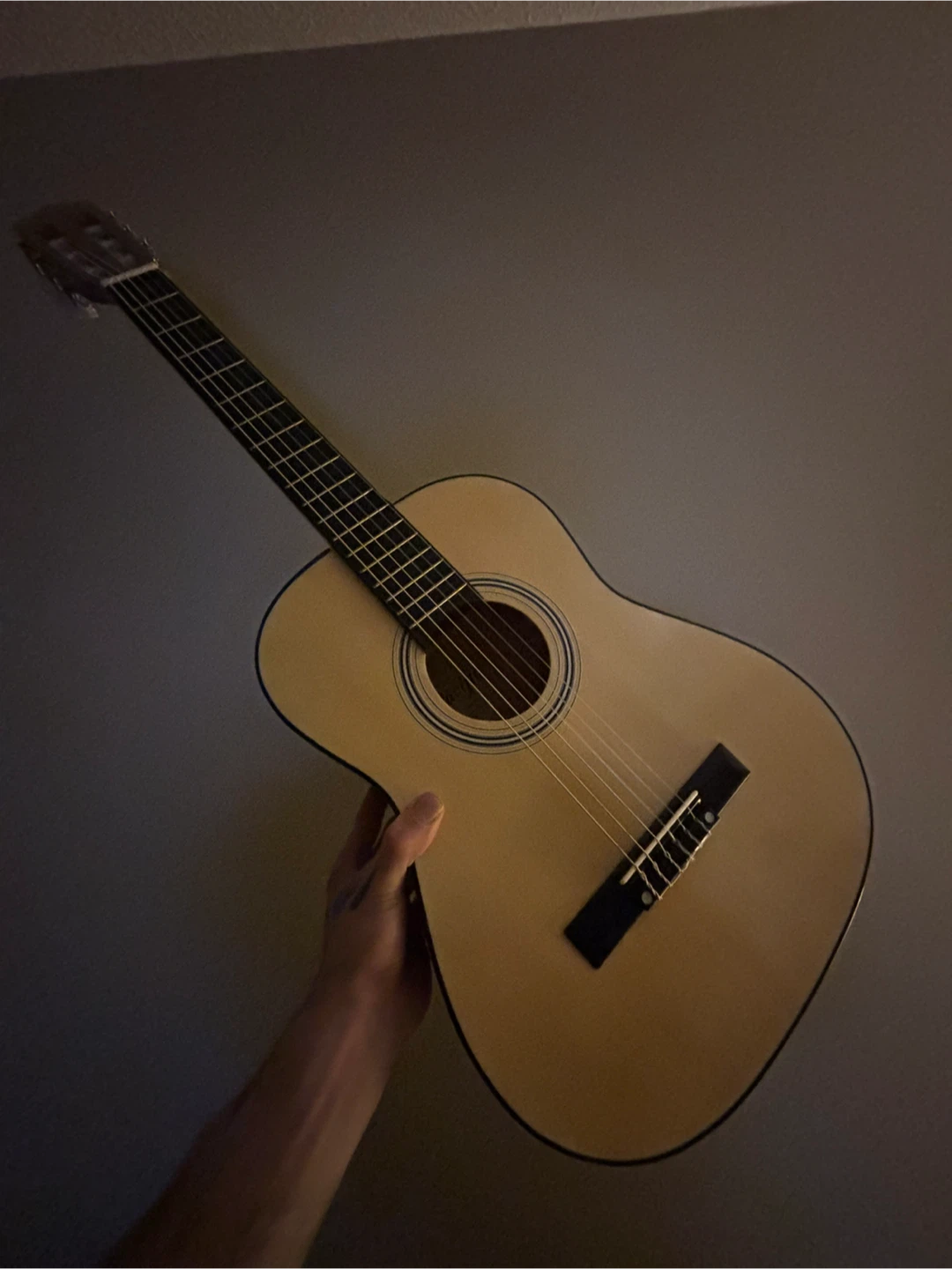 Pacific PSG 12 Classical Guitar