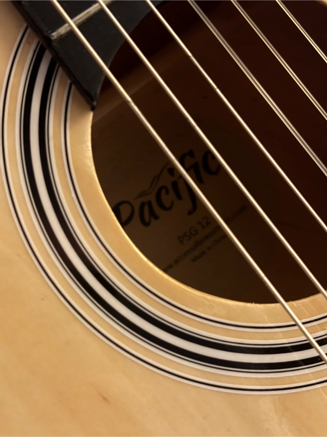 Pacific PSG 12 Classical Guitar - photo 5