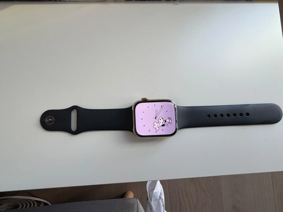 Apple Watch Gold Stainless Steel 45mm - photo 4