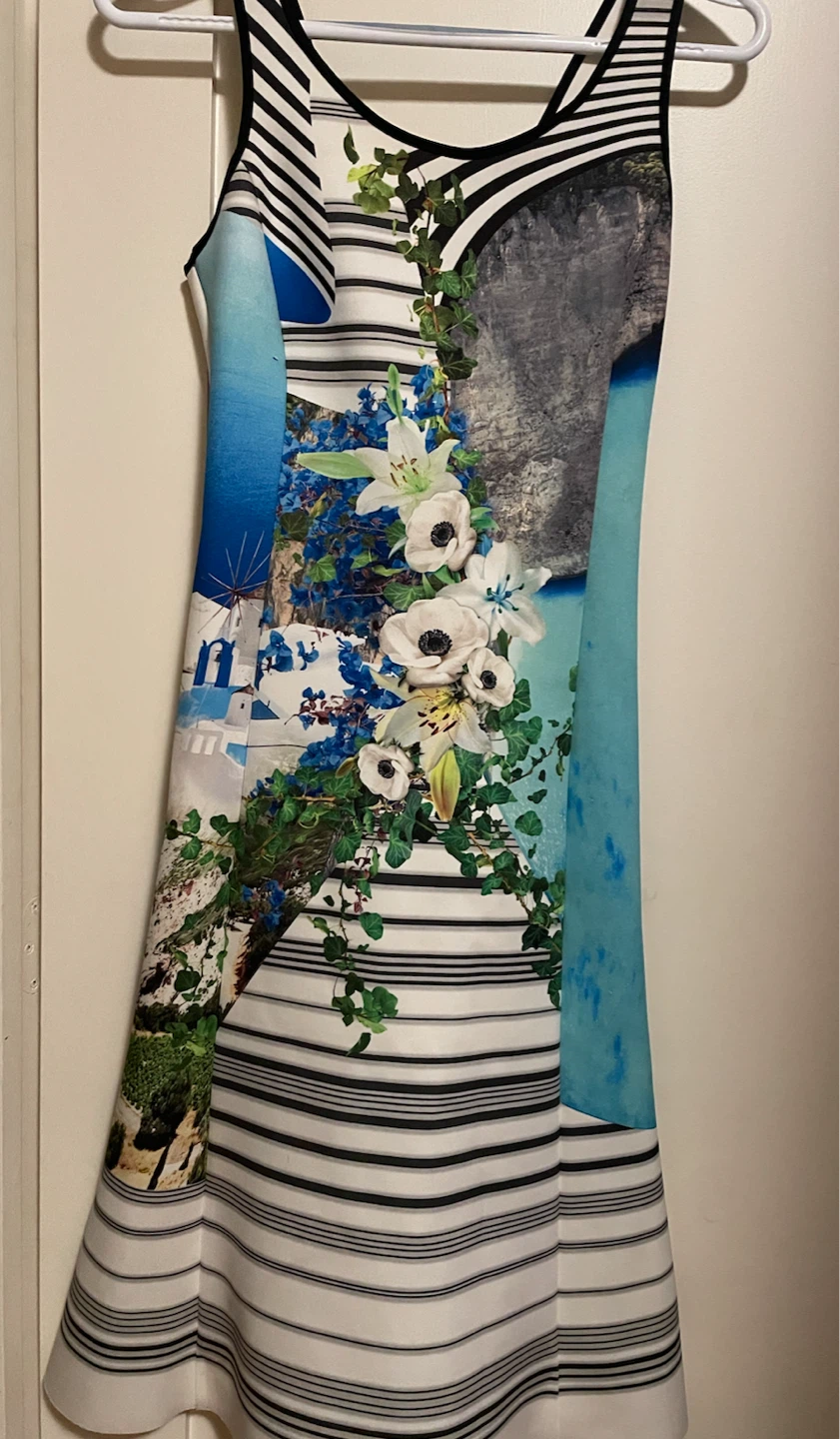 Clover Canyon Printed Tank Dress