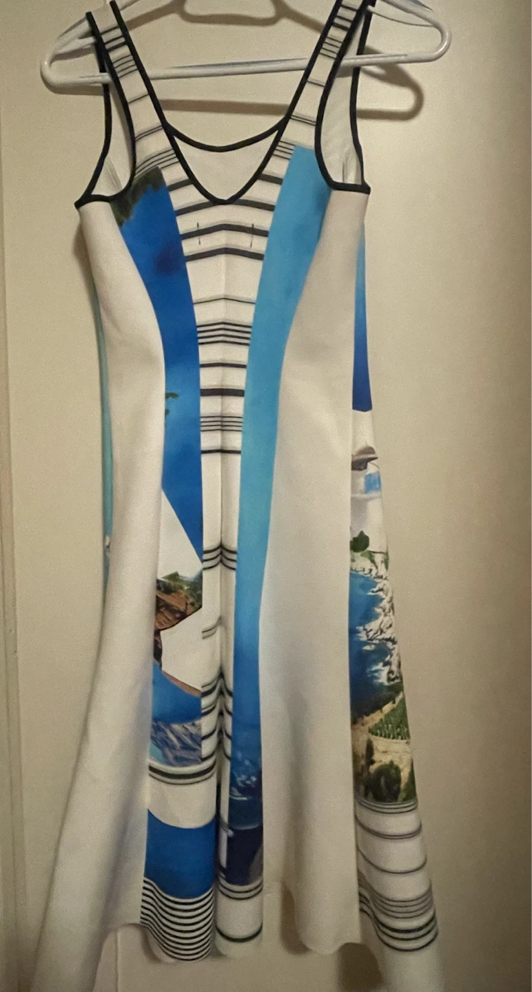 Clover Canyon Printed Tank Dress - photo 2