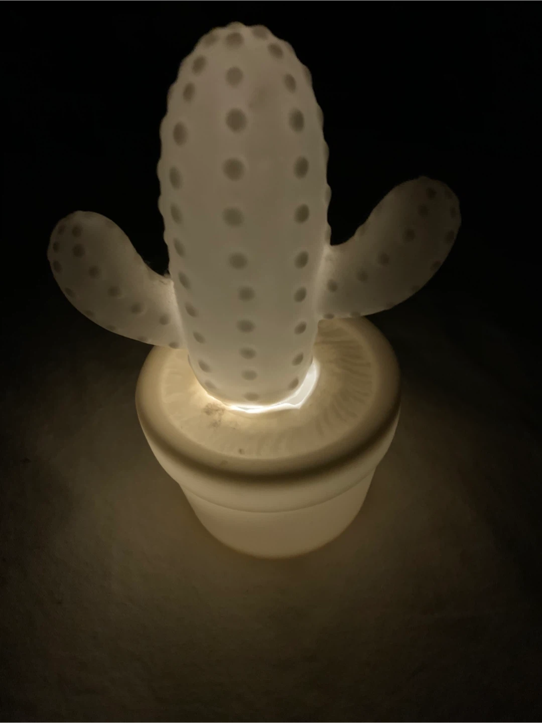 Cactus LED Night Light