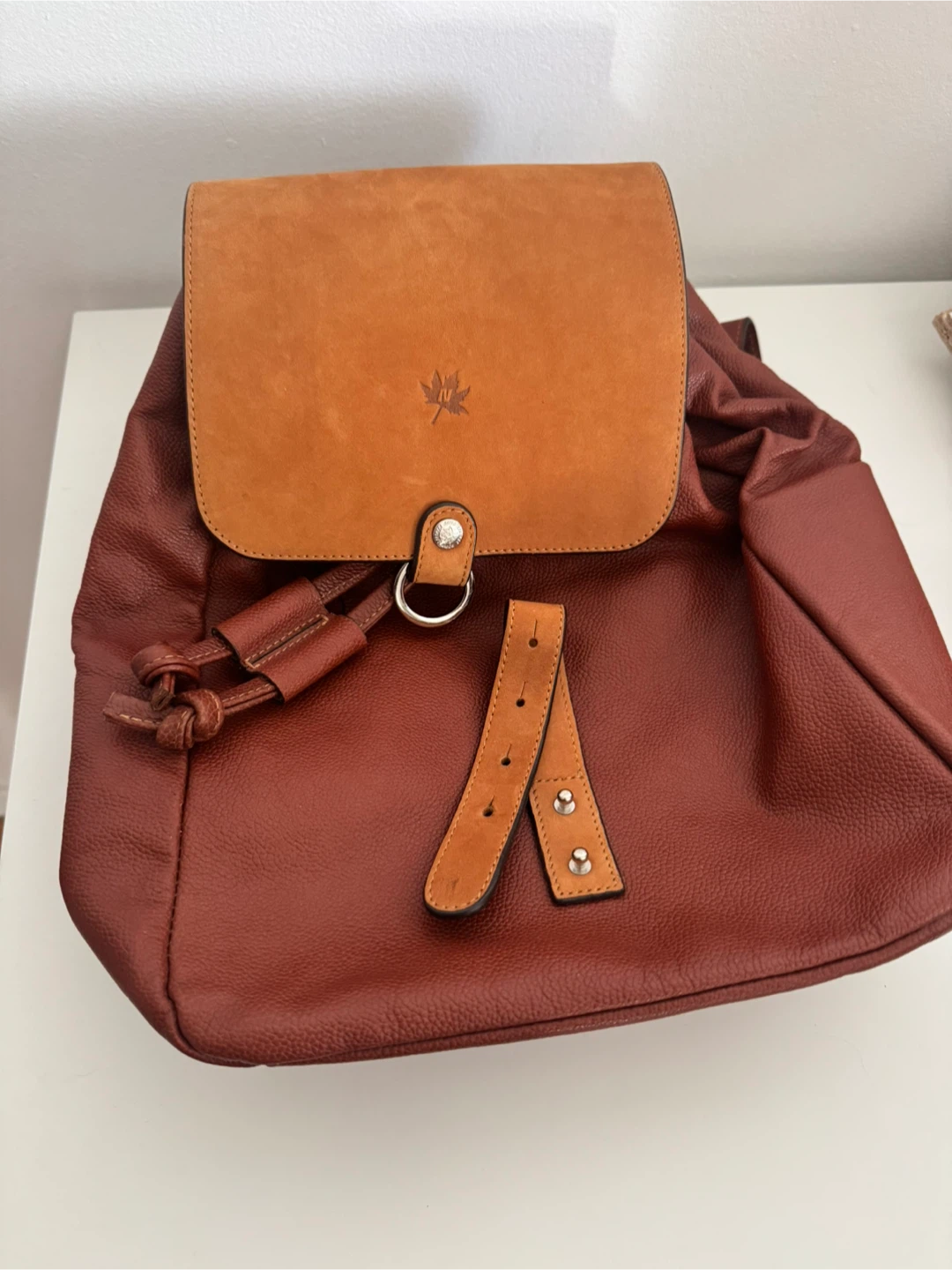 Brown Leather Backpack - photo 4