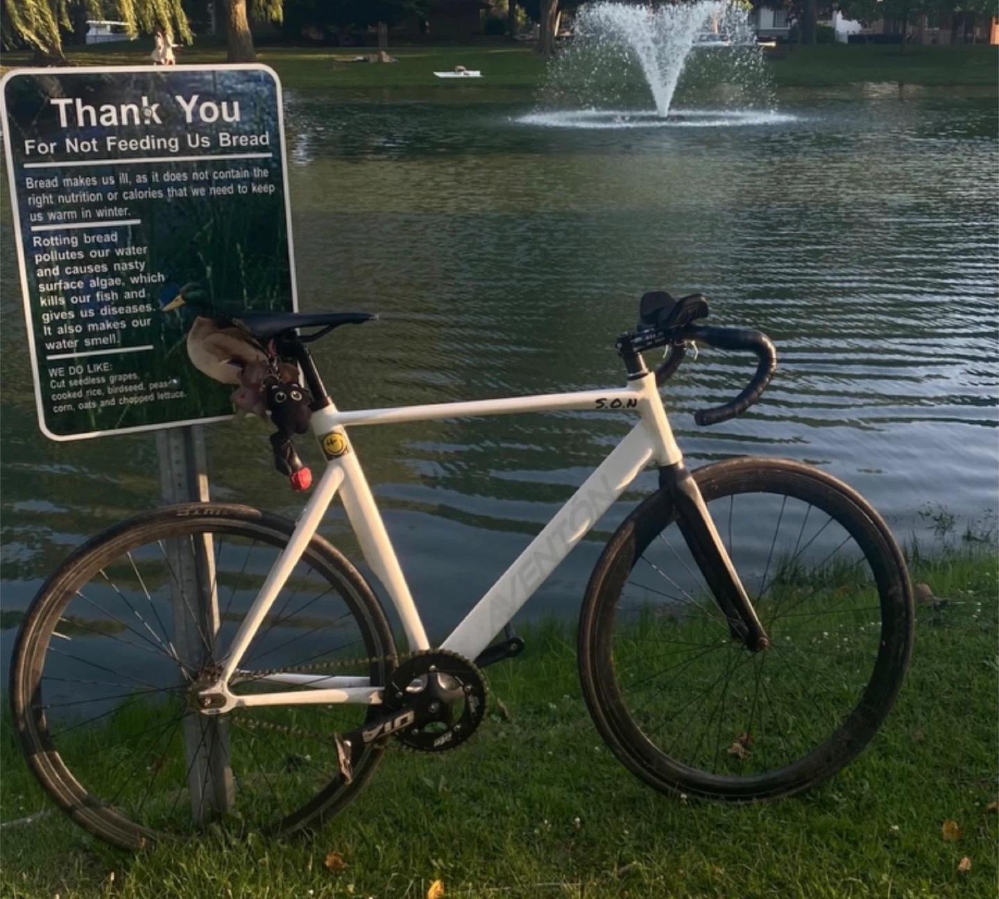 Aventon S.O.N. Fixed Gear Bicycle