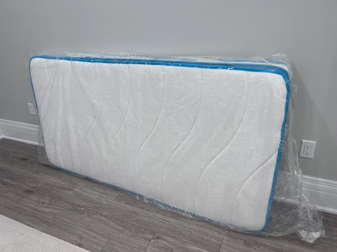 Twin Daybed Frame and Mattress