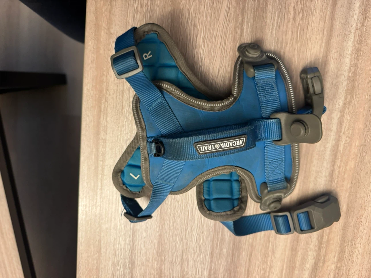 Arcadia Trail Dog Harness - Blue