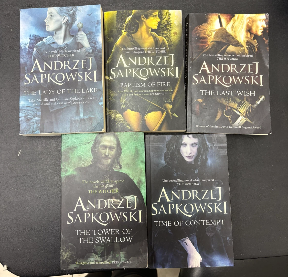 The Witcher Novels by Andrzej Sapkowski - 5 Book Set