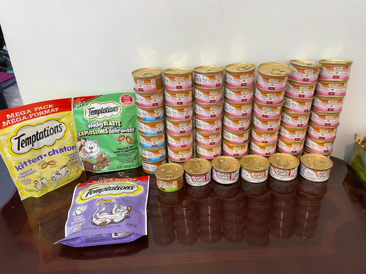 Huge Wet Cat Food & Treats Lot