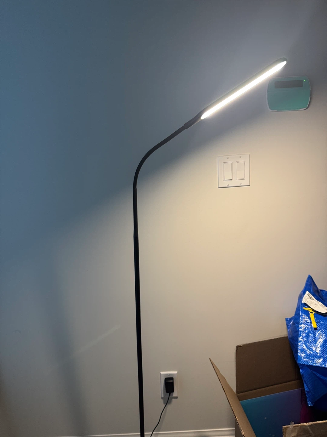 Black LED Gooseneck Floor Lamp