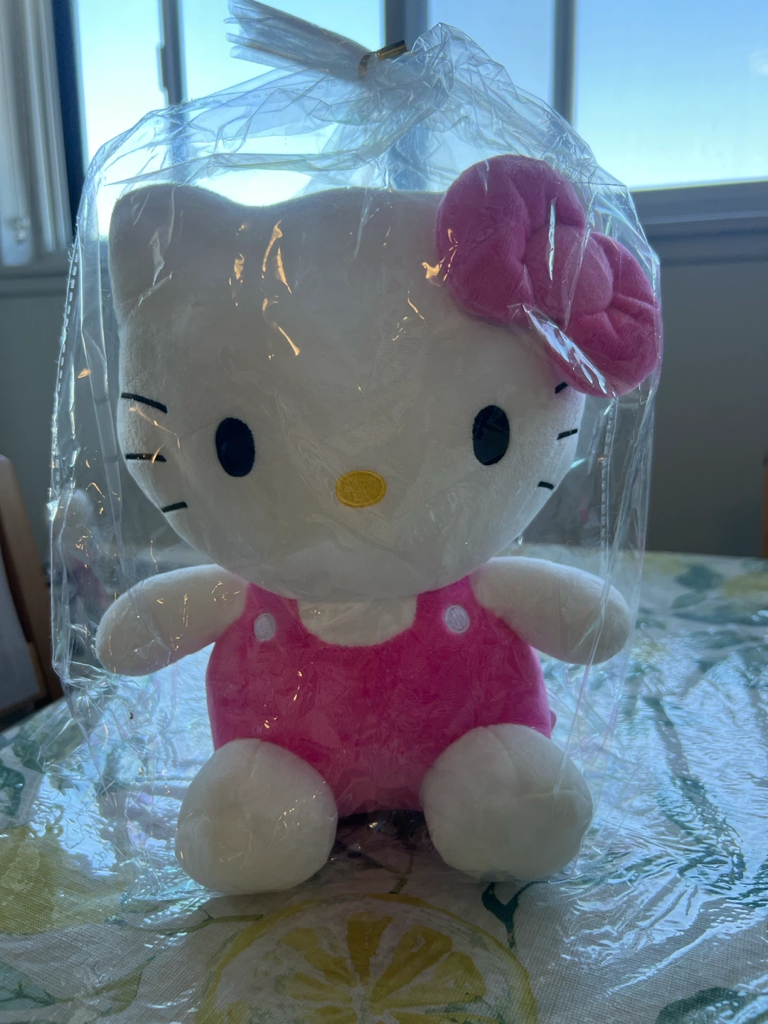 Hello Kitty Plushie