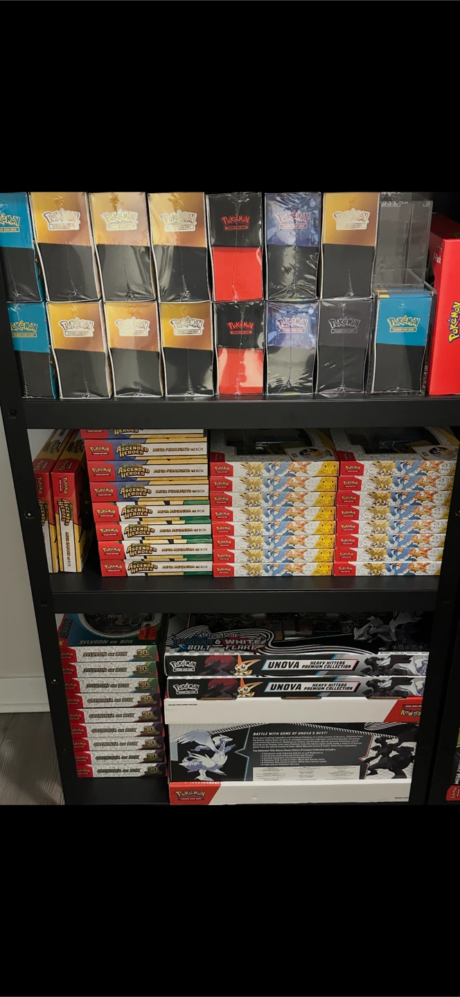 SEALED Pokemon / one piece collection