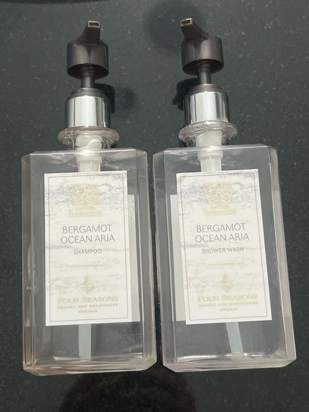 Set of 2 Refillable luxury empty pump bottles