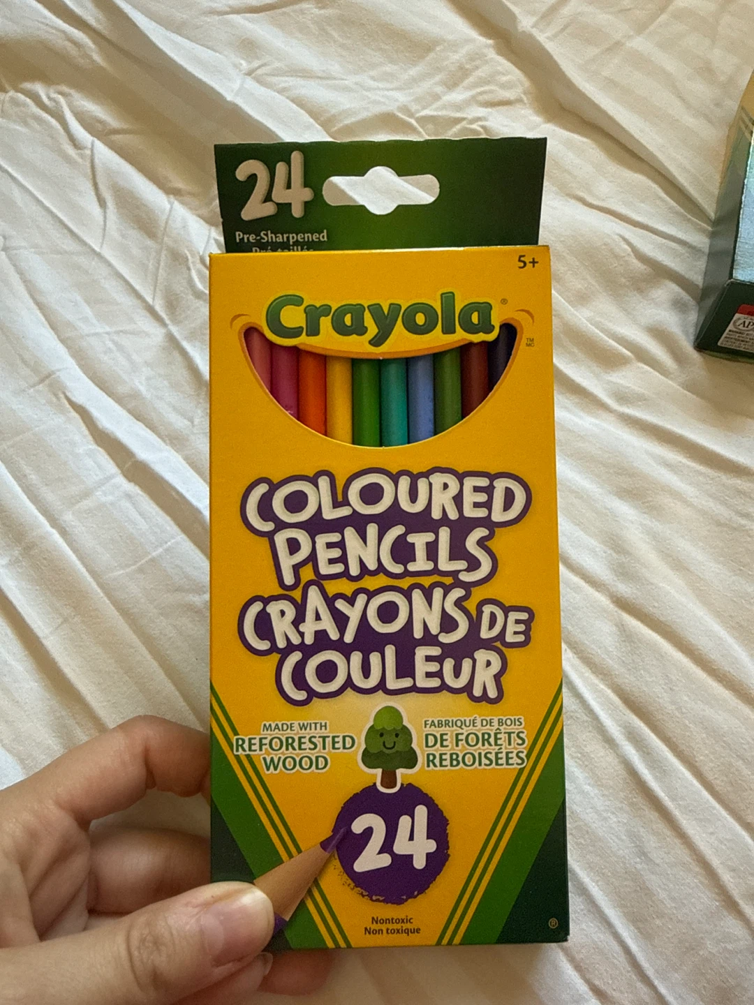Crayola 24 Coloured Pencils