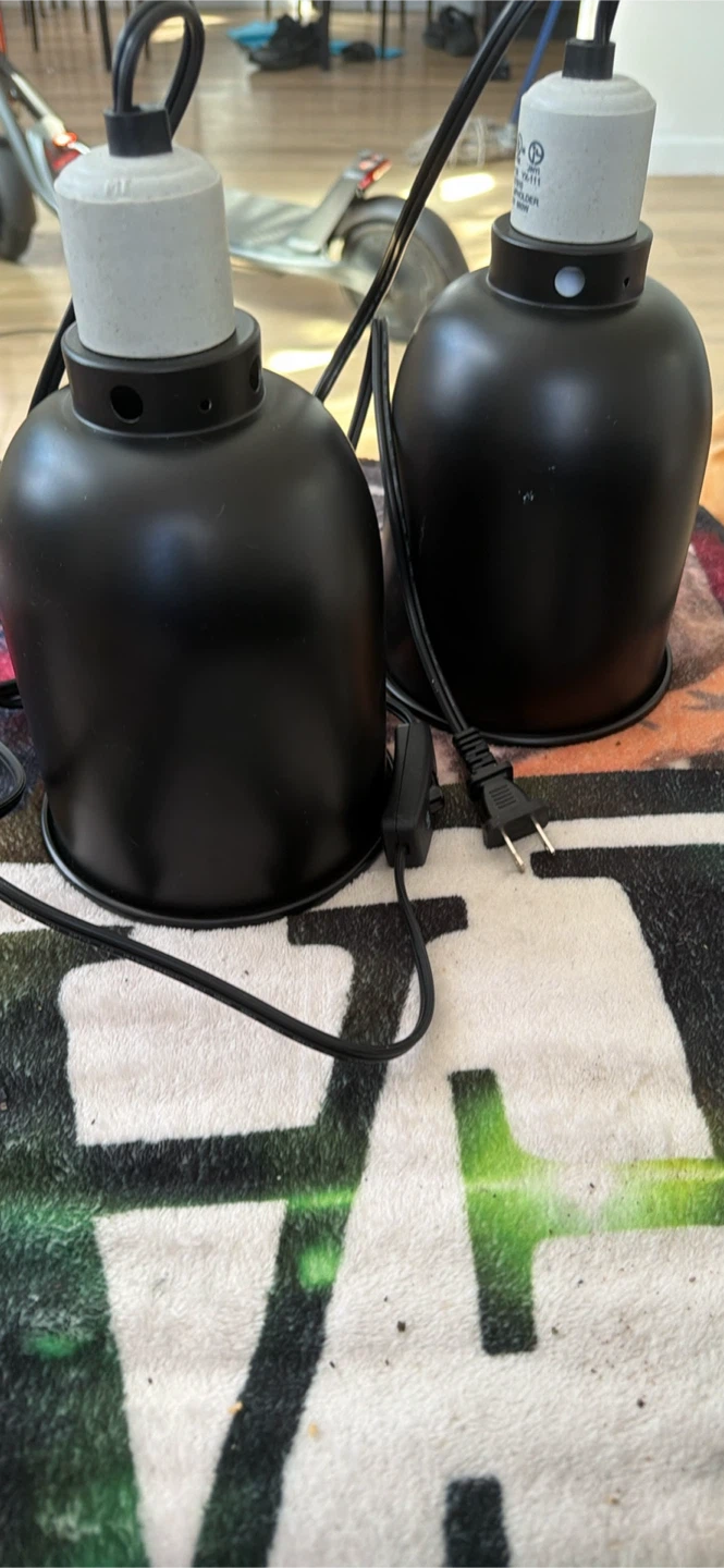 Two Thrive Black Clamp Lamps