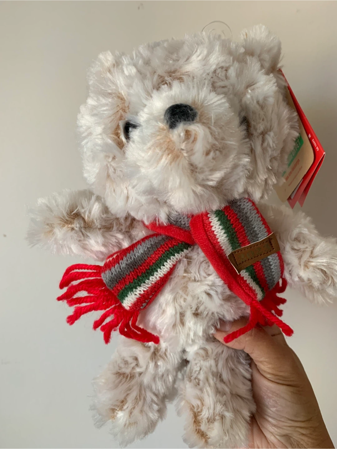 EarthWise Teddy Bear with Scarf