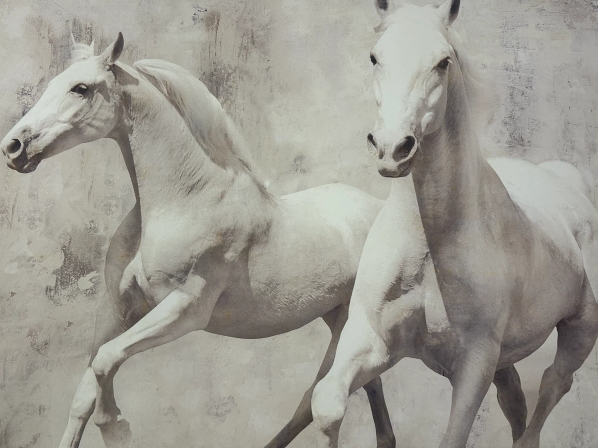 Large White Horses Canvas Wall Art - photo 2