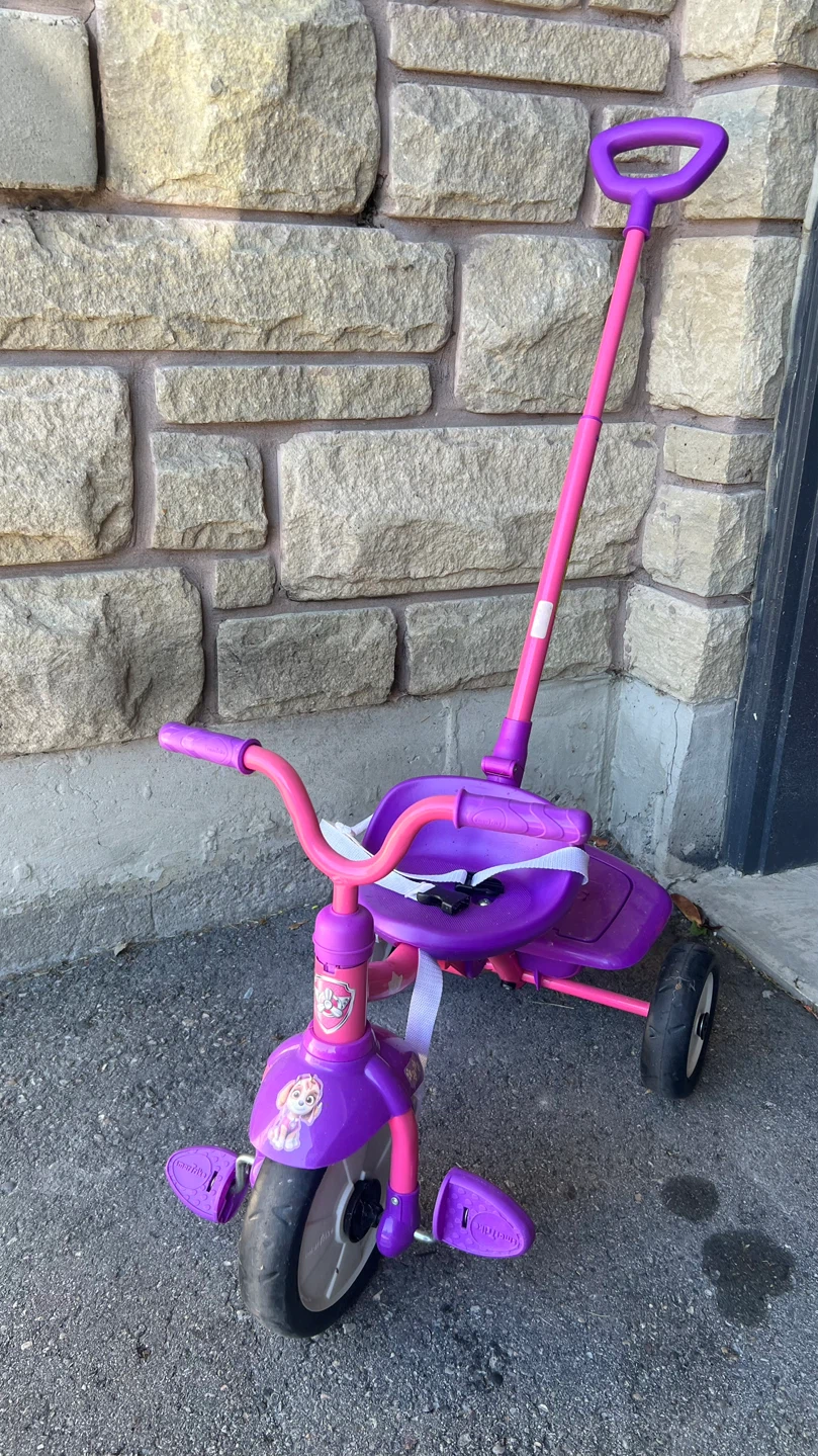 smarTrike Paw Patrol Tricycle
