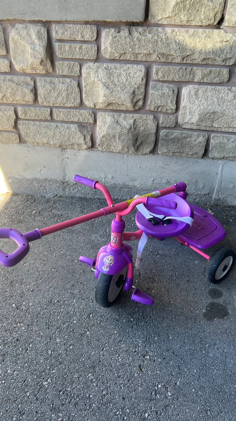 smarTrike Paw Patrol Tricycle - photo 4