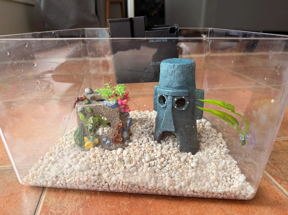 Great Condition 2 Pack Aquarium Kit (10 Gallon + 3 Gallon) - photo 2