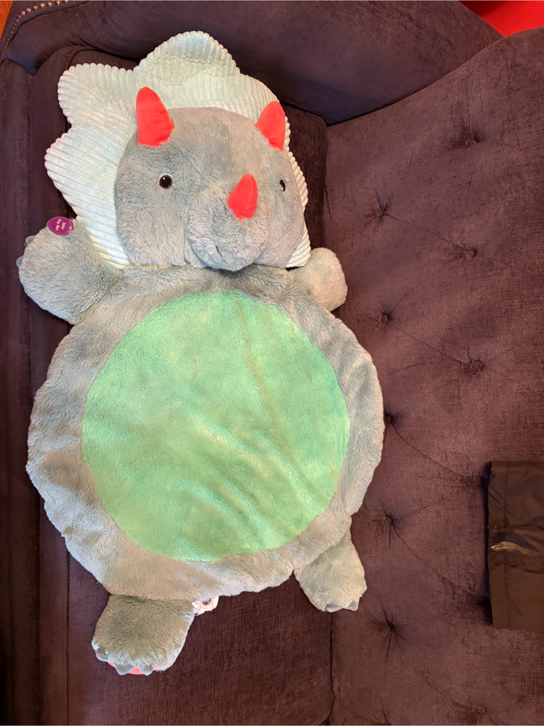 Baby Play Mat Dinosaur