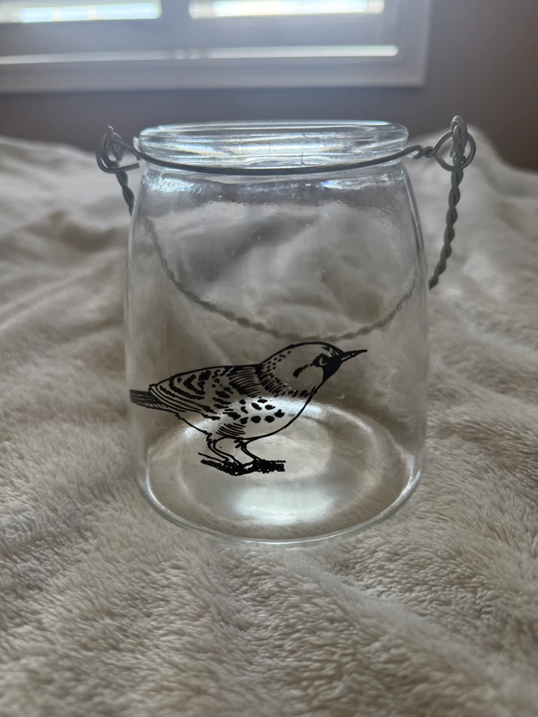 Glass bird container with metal handle