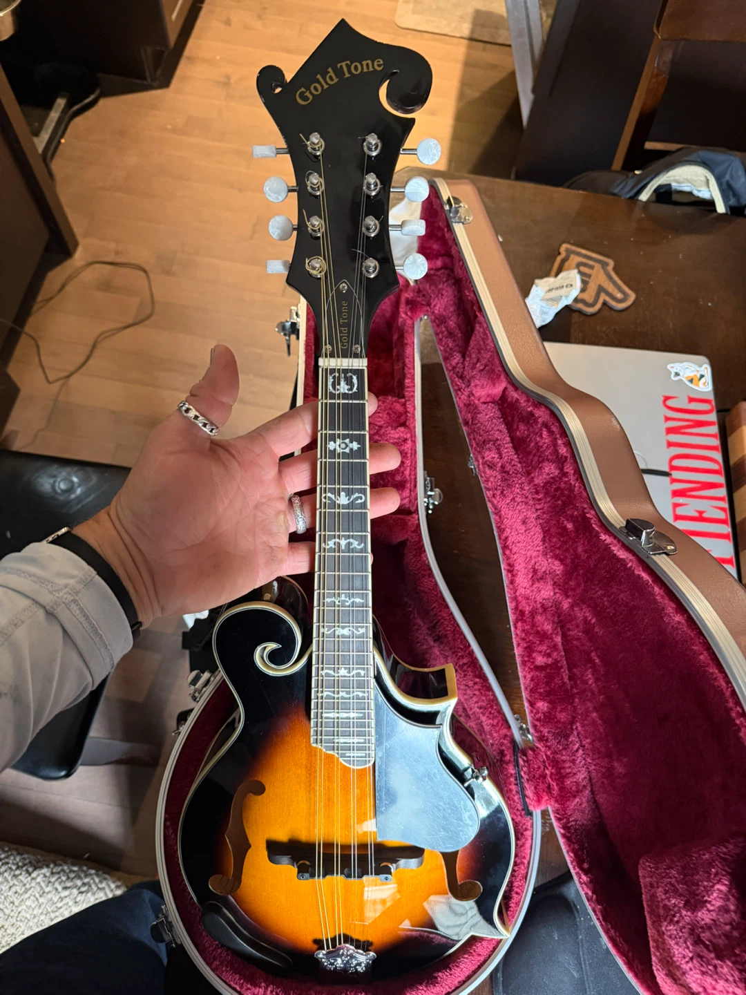 Mandolin - Gold Tone GM 35.. - photo 2